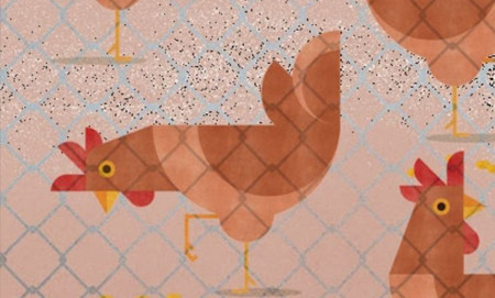 INFLUENÇA_ AVIARIA_peq