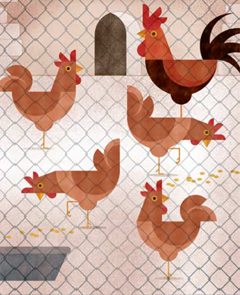 INFLUENÇA_ AVIARIA.png